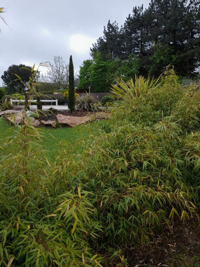 Chambre Dans Un Ecrin De Verdure Angrie Exteriör bild
