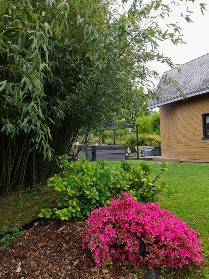 Chambre Dans Un Ecrin De Verdure Angrie Exteriör bild