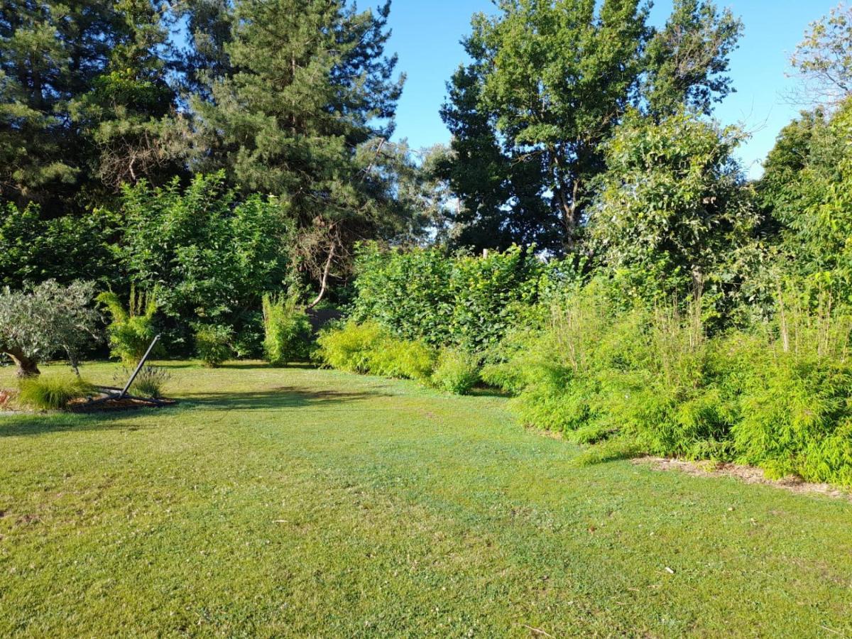 Chambre Dans Un Ecrin De Verdure Angrie Exteriör bild