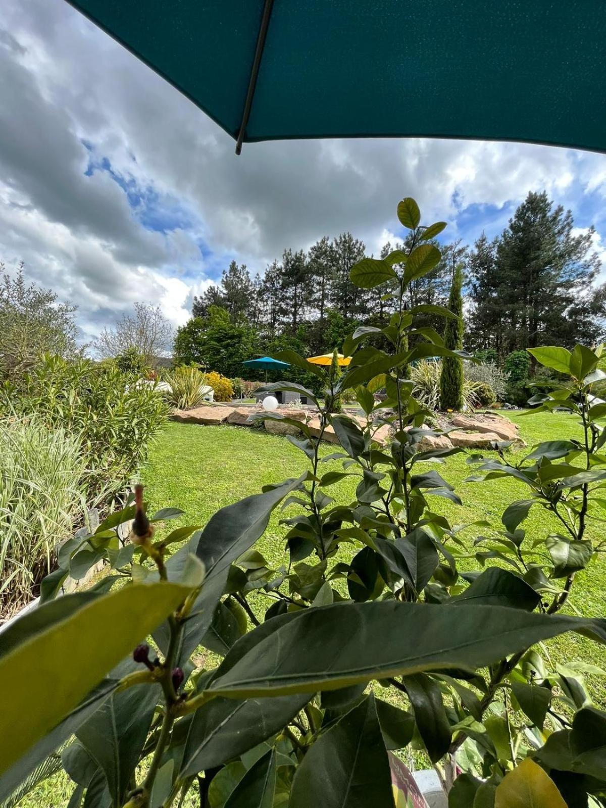 Chambre Dans Un Ecrin De Verdure Angrie Exteriör bild