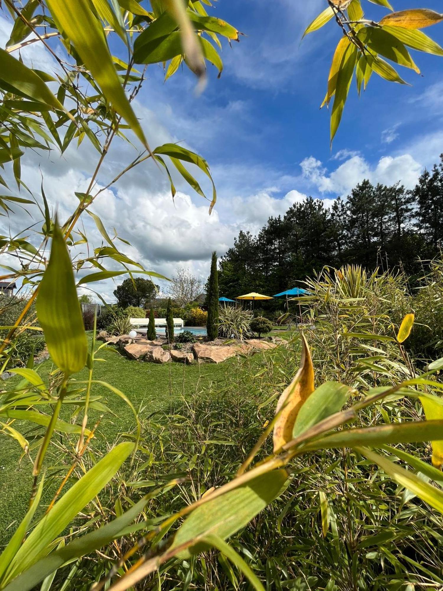 Chambre Dans Un Ecrin De Verdure Angrie Exteriör bild