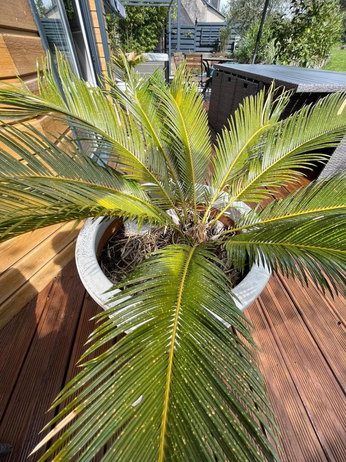 Chambre Dans Un Ecrin De Verdure Angrie Exteriör bild